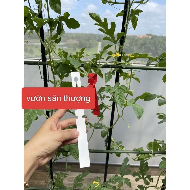 Thẻ Ghi Tên Cây Cảnh Màu, Rau, Củ, Quả, Hoa Hồng Ngẫu Nhiên Tái Sử Dụng Nhiều Lần