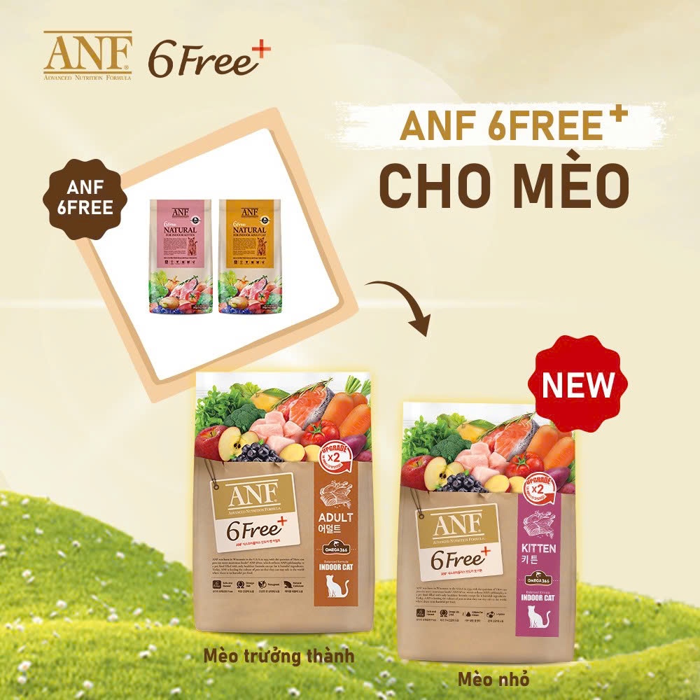 [NEW] BẢN NÂNG CẤP ANF 6FREE+ Hạt thức ăn cao cấp cho Mèo GẤP ĐÔI HƯƠNG VỊ 5.6KG