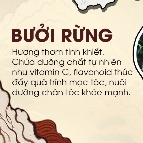 Sử dụng Lọ Tinh Dầu trong đời sống