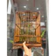 lồng chim hút mật chân quỳ hoa văn 25*40 gỗ muồng nan tre bền chắc đẹp- combo đủ phụ kiện shop