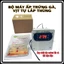Máy ấp trứng Lắp thùng xốp đảo tay tạo nhiệt dây cacbon ấp trứng gà, vịt, ngan, ngỗng
