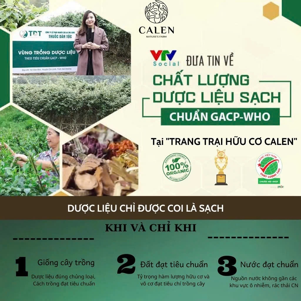 Trà detox 14 ngày Calen giúp đào thải cạn bã tạp chất, chuyển hóa năng lượng và mỡ thừa, giúp giảm táo bón, nhuận tràng