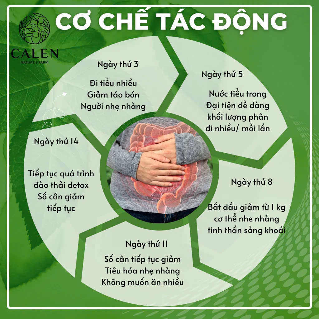 Trà detox 14 ngày Calen giúp đào thải cạn bã tạp chất, chuyển hóa năng lượng và mỡ thừa, giúp giảm táo bón, nhuận tràng