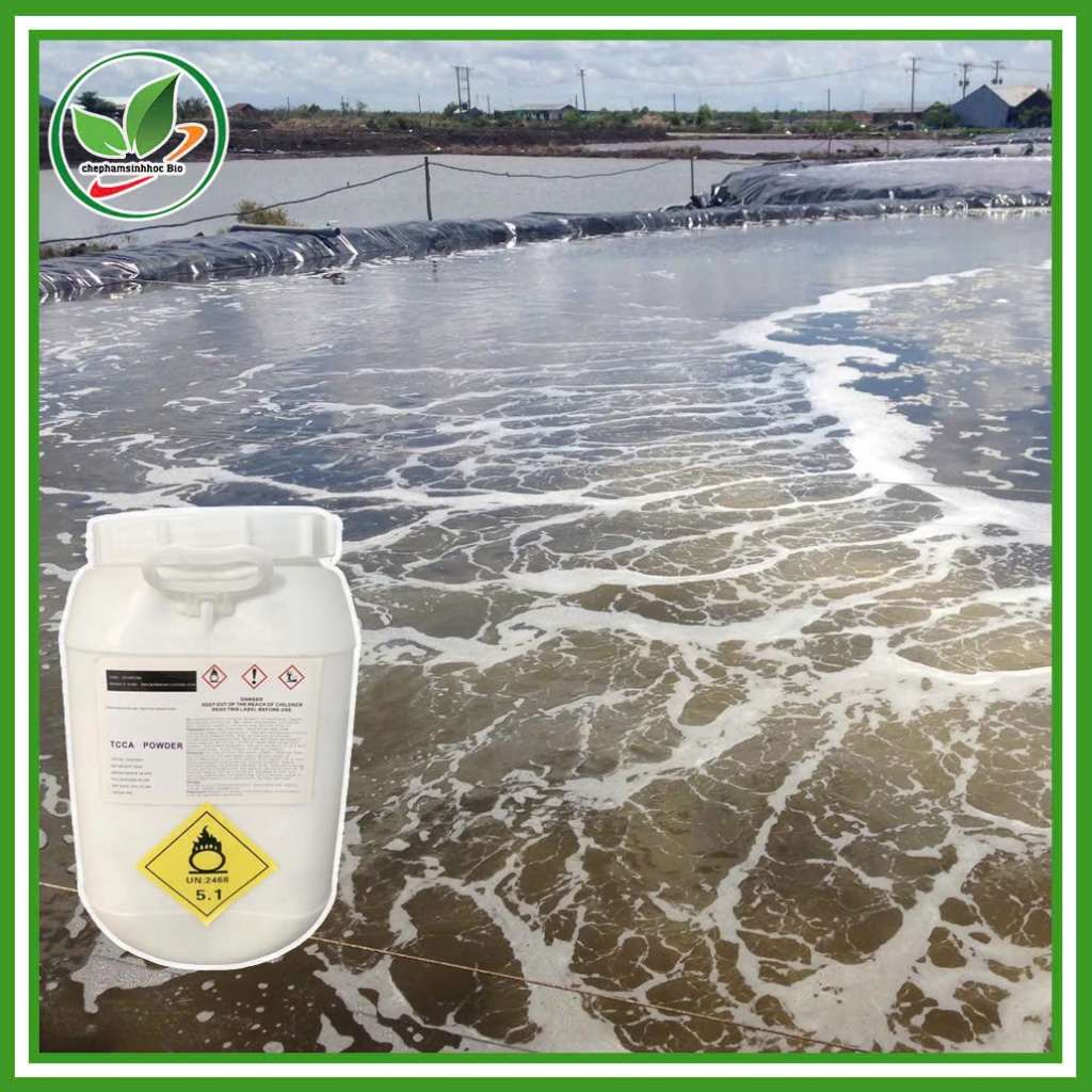 Clo viên 200g - TCCA 90% viên nén tan chậm xử lý nước , Clo khử trùng nước hồ bơi. Chiết lẻ 5kg
