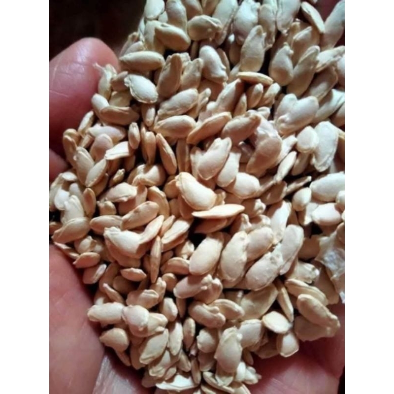 Hạt Giống Bí Đặc Sản Ba Bể, Ăn Cực Ngon  Cực Kỳ Chất Lượng