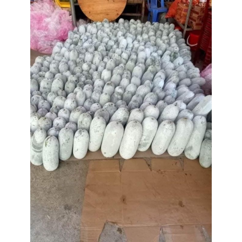 Hạt Giống Bí Đặc Sản Ba Bể, Ăn Cực Ngon  Cực Kỳ Chất Lượng