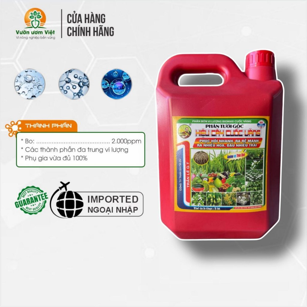 Phân bón AMINO Trùn Quế dạng nước, siêu tăng trưởng bền vững cây trồng - 5 lít