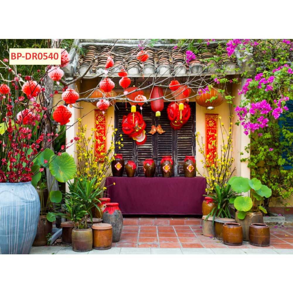 Tranh lụa mẫu Tết truyền thống trang trí YEP, sân khấu chào xuân