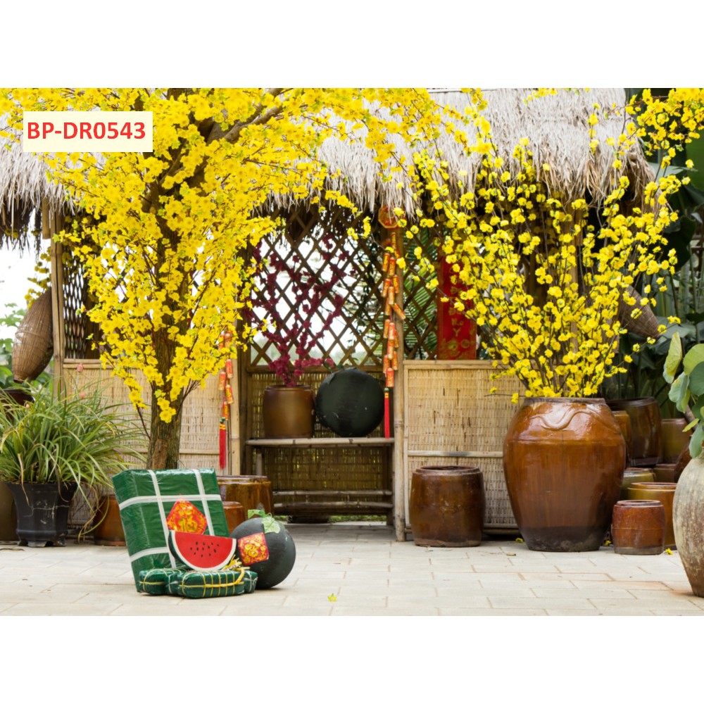 Tranh lụa mẫu Tết truyền thống trang trí YEP, sân khấu chào xuân
