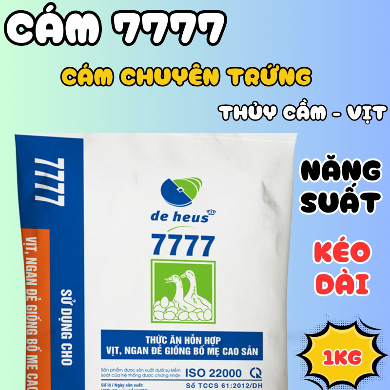 https://7777.com.ro/