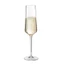 Ly uống rượu vang trắng champagne wine glass cao cấp Dung Tích 200 ML