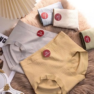 COMBO 10 Quần lót cotton nữ kháng khuẩn khử mùi, Quần chíp nữ 7a co dãn 4 chiều