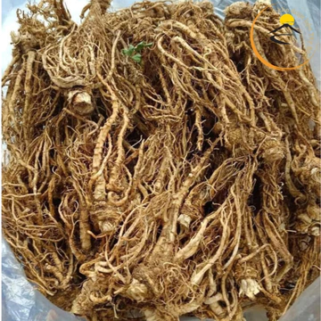 Củ sâm đương quy Tây Bắc sấy khô loại 1 (500g, 1kg). Đương quy tửu bổ huyết ngâm rượu, xay bột đương quy khô