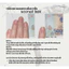 NAIL BOX MẮT MÈO ĐỎ NAIL TẾT