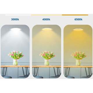 Đèn Led Rạng Đông Downlight Âm Trần Đổi Màu Tiết Kiệm Điện Năng DAT02 90/9w, 110/9w