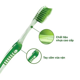 Bàn chải tay Oral-B Gumcare (Trà xanh/ Trà đen)
