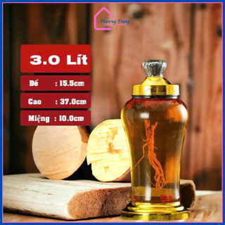 Bình sâm Thủy Tinh Bầu Cao 03 Lít, 04 Lít, 05 Lít | Tùy Chọn Dung Tích - Phương Trang