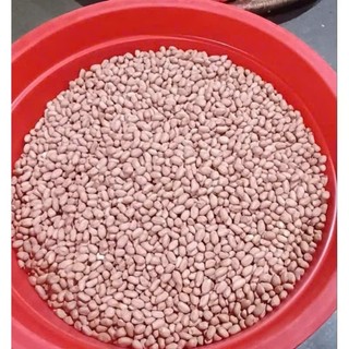 Lạc quê bóc tay 1kg loại đẹp hút chân không