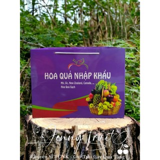 Túi giấy đựng giỏ quà trái cây