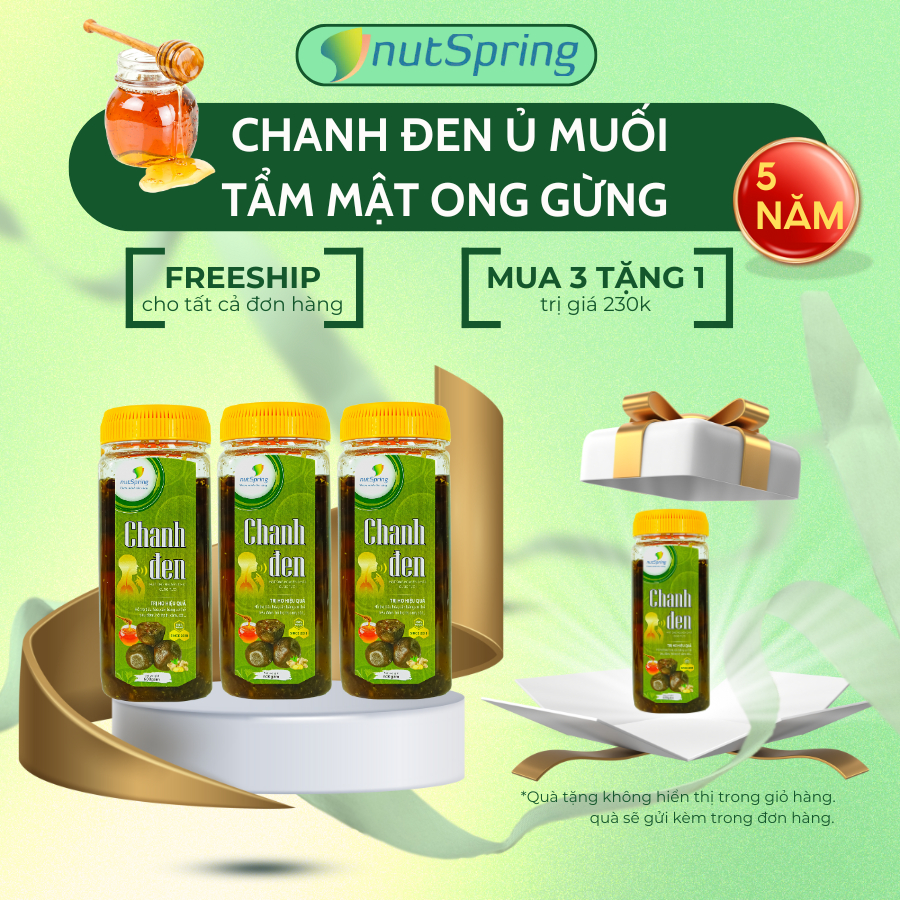[ Mua 3 tặng 1 ] Combo 3 Chanh Đen Ủ Muối 5 Năm Cắt Miếng Tẩm Mật Ong Gừng 600gam