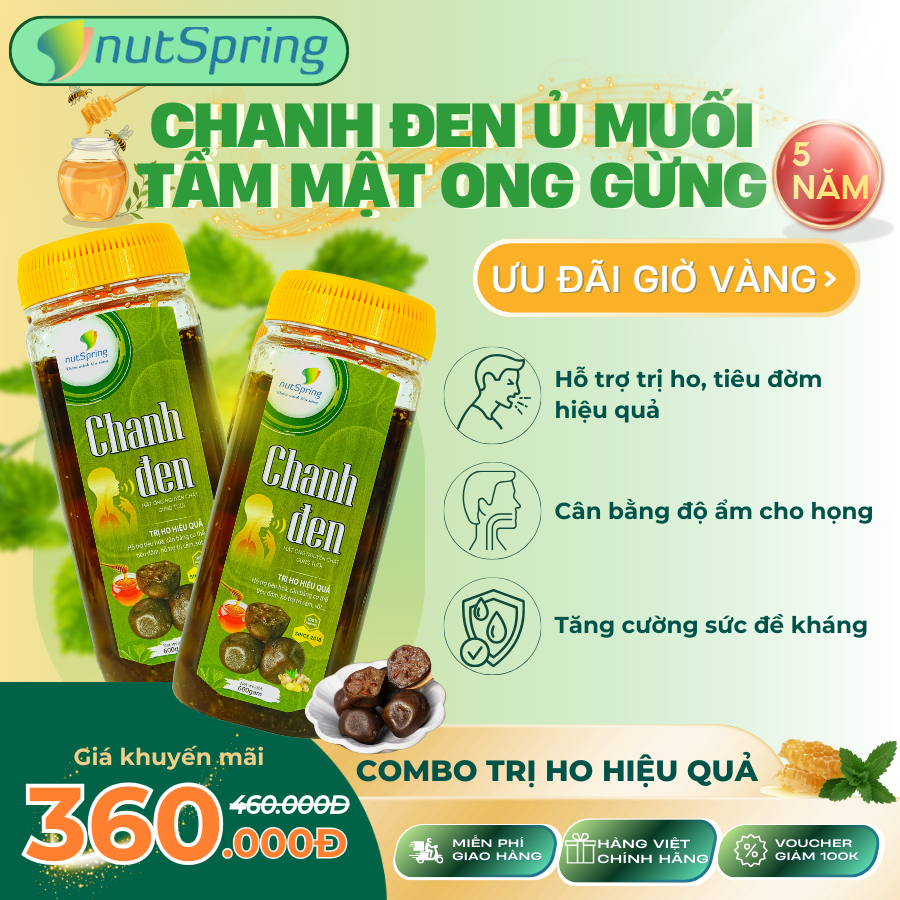 Combo Mua 2 Chanh Đen Ủ Muối 5 Năm Cắt Miếng Mật Ong Gừng 600gam NutSpring