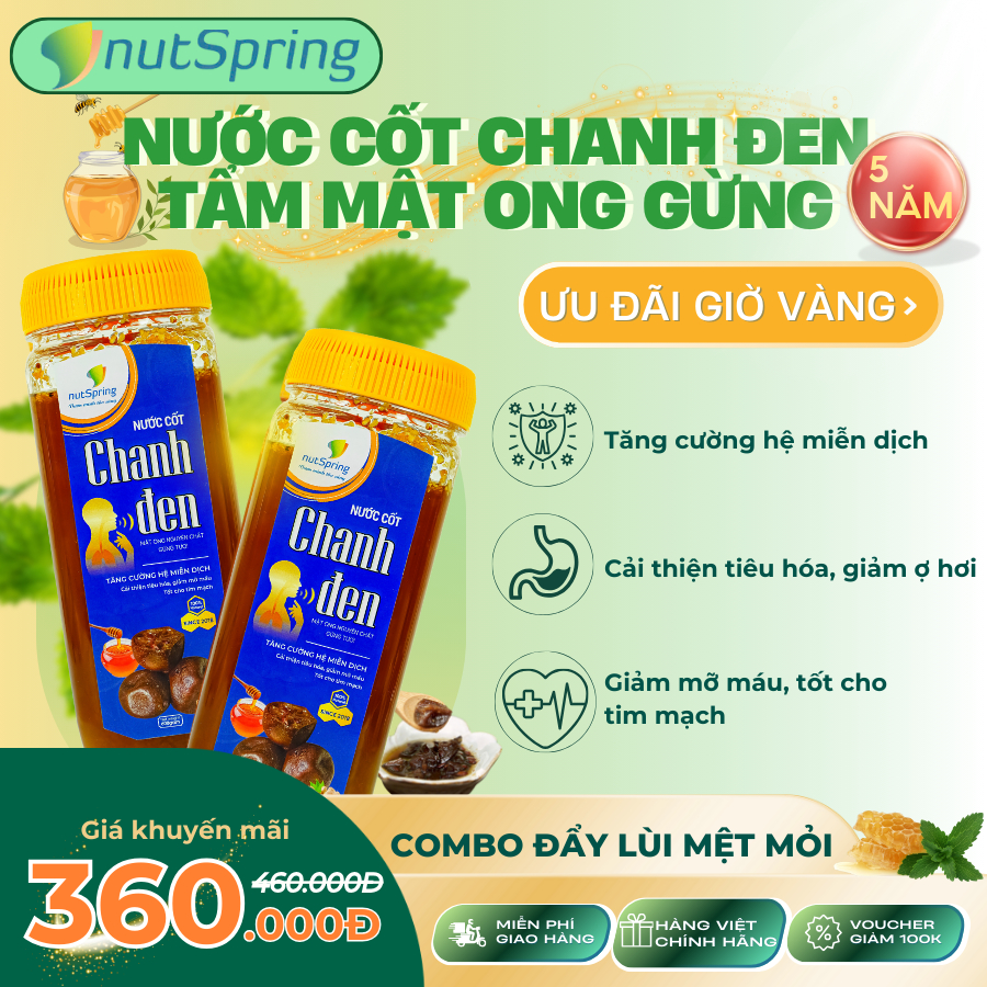 Combo Mua 2 Nước Cốt Chanh Đen Ủ Muối 5 Năm Mật Ong Gừng (600gam) NutSpring