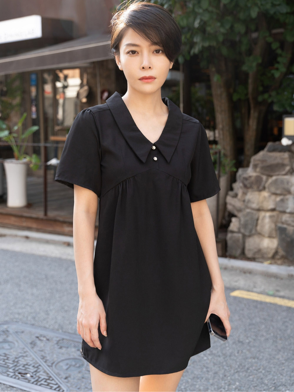 chelsea collar dress