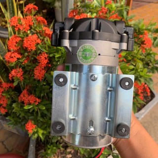 Bơm 24V Kangaroo KG-P005 - Tặng 2 cút ren bơm - Bảo Hành 6 Tháng