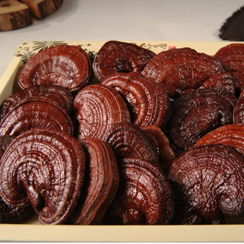 Nấm Linh Chi Hàn Quốc 500g/1kg