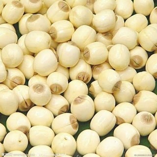 Hạt sen sấy giòn,bùi bùi,béo béo,giàu dinh dưỡng,tốt cho sức khoẻ