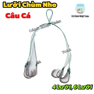 CHÙM NHO 4, NHO 6 LÀM SẴN CÂU CÁ