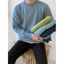 <<Có sẵn>> 024 Áo len FORM RỘNG cổ tròn tay dài m màu sắc phong cách Hàn quốc dành cho nam nữ unisex cơ bản mùa thu đông