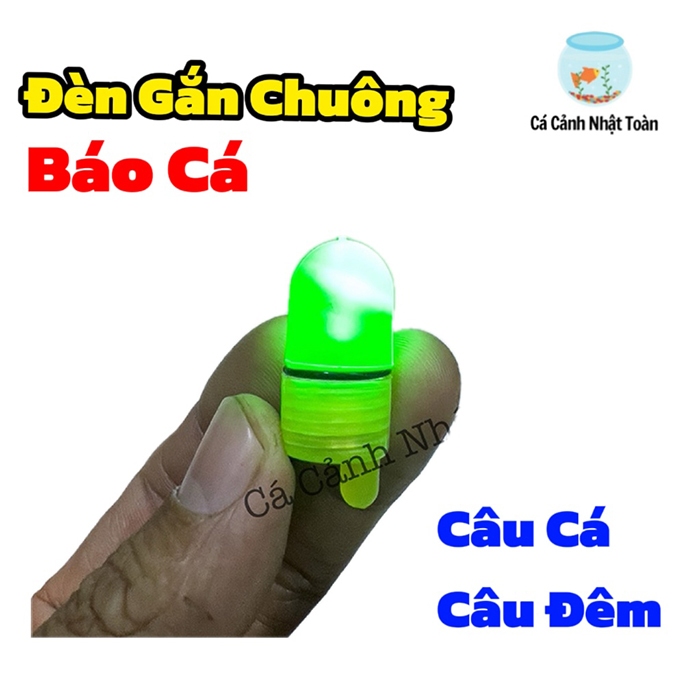ĐÈN GẮN CHUÔNG BÁO CÁ CÂU CÁ CÂU ĐÊM