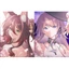 Card bo góc/Photocard Honkai: Star Rail Fugue Herta Robin Firefly Acheron