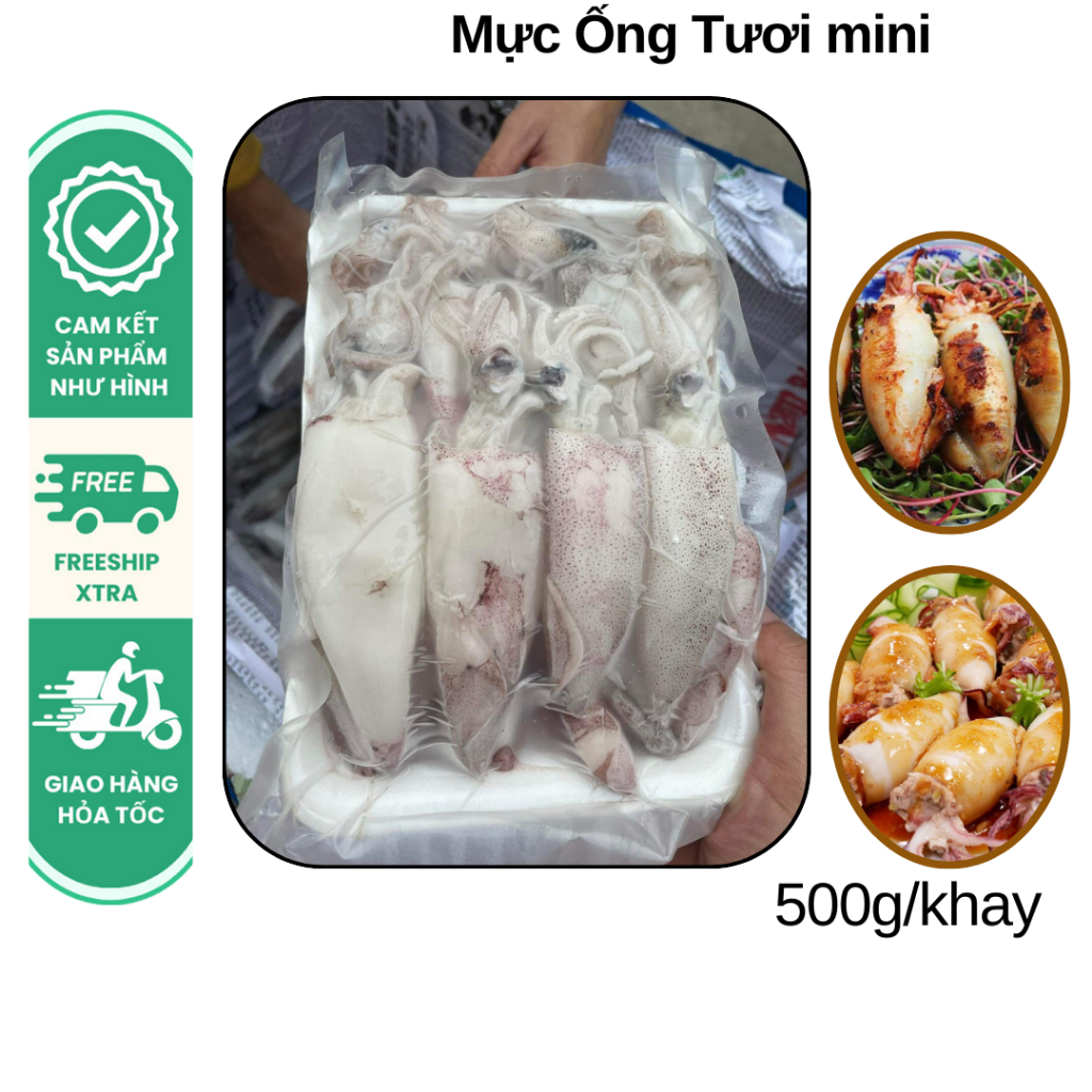 MỰC ỐNG MINI, khay 500g, giao hỏa tốc Hà Nội | Shopee Việt Nam