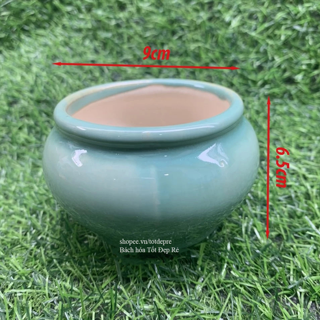Chậu gốm sứ trồng sen đá - Chậu trồng cây để bàn nhiều màu đẹp kiểu dáng dễ thương có lỗ thoát nước