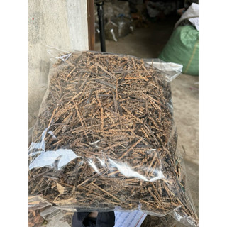 Bông mã đề khô 1kg, hỗ trợ giảm tiểu dắt, bí tiểu, đánh bay sỏi thận, tốt cho đường tiết niệu