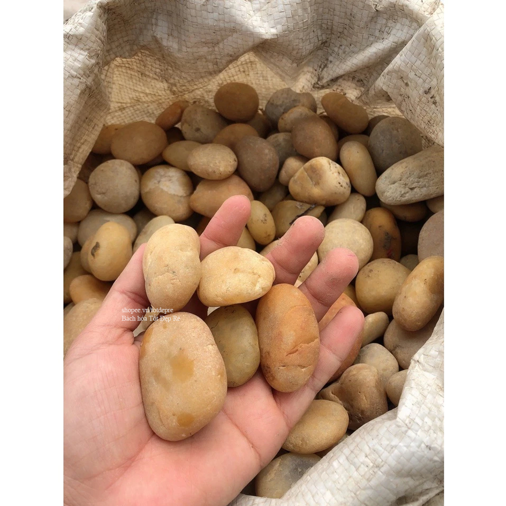 1kg Đá sỏi trang trí tiểu cảnh - đá nhỏ trang trí gốc cây hoa