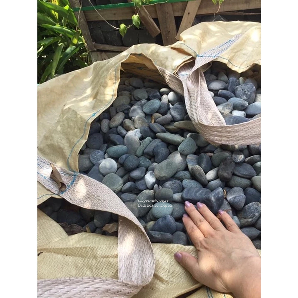 1kg Đá sỏi trang trí tiểu cảnh - đá nhỏ trang trí gốc cây hoa