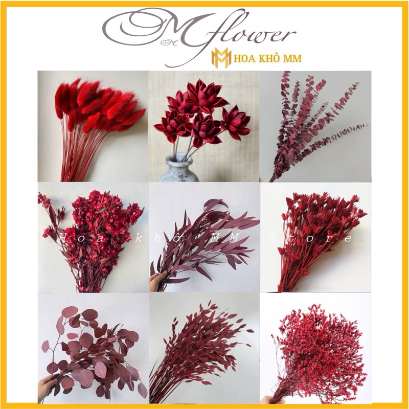 Tổng hợp các loại hoa lá khô Màu Đỏ, Hoa khô deco nhà cửa phong cách ...