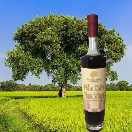 Nước mắm truyền thống không chất bảo quản, mắm chắt rơm vàng 500ml nguyên chất 100%