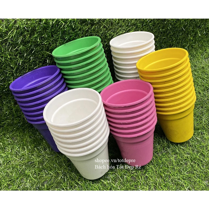 [chọn màu] Chậu nhựa tròn mini thoat nước nhiều màu sặc sỡ trồng cây sen đá hoặc trồng cây cảnh nhỏ