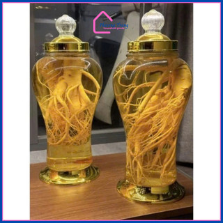[Kho sỈ] Bình Ngâm Rượu Sâm Thủy Tinh Phú Hòa Có Van/Không Van Cao Cấp 1L,, 2L, 3L, 4L, 5L, 6L, 8L - Phương Trang