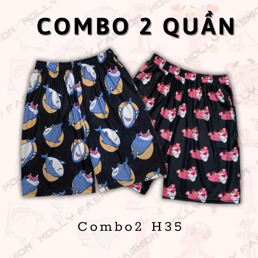 Combo2 H35