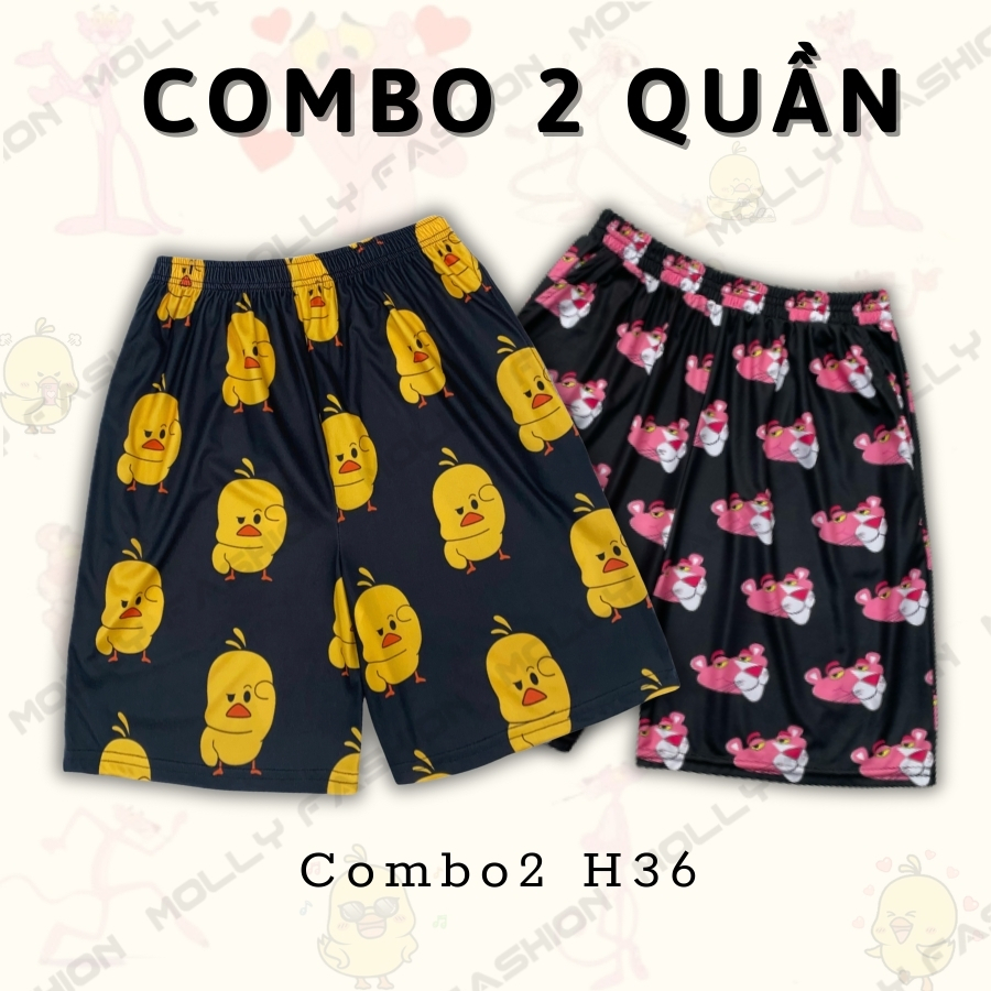 Combo2 H36