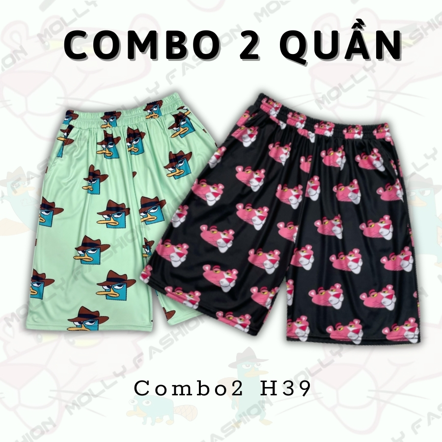 Combo2 H39