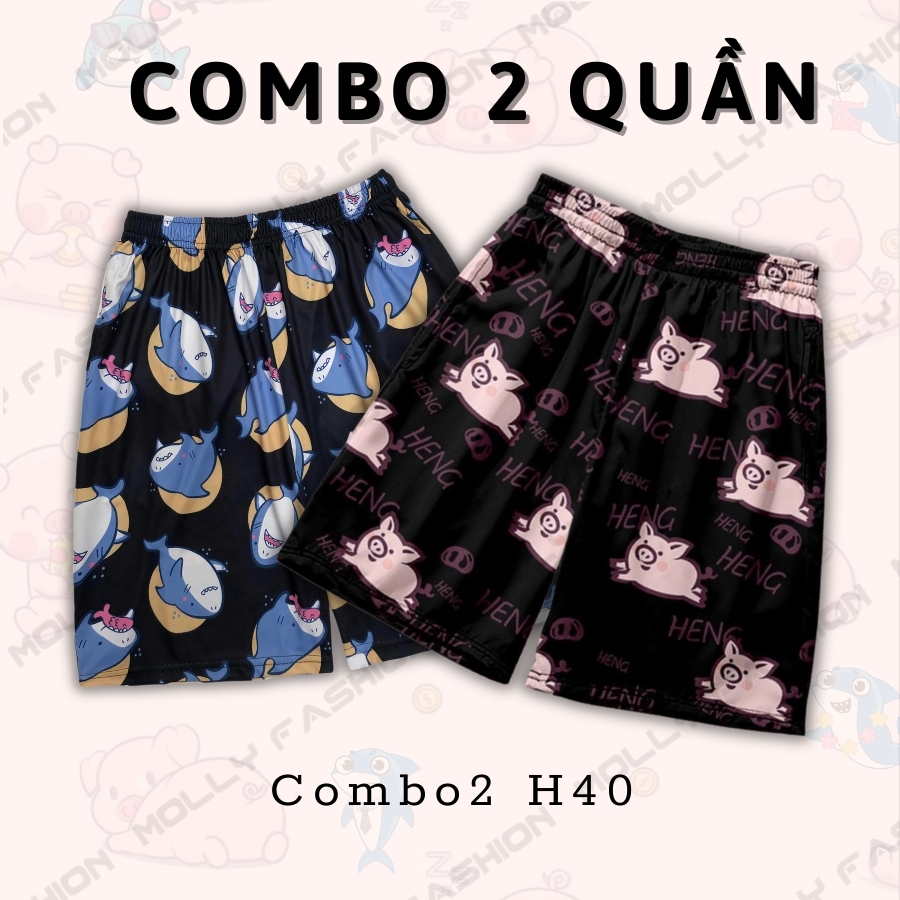 Combo2 H40