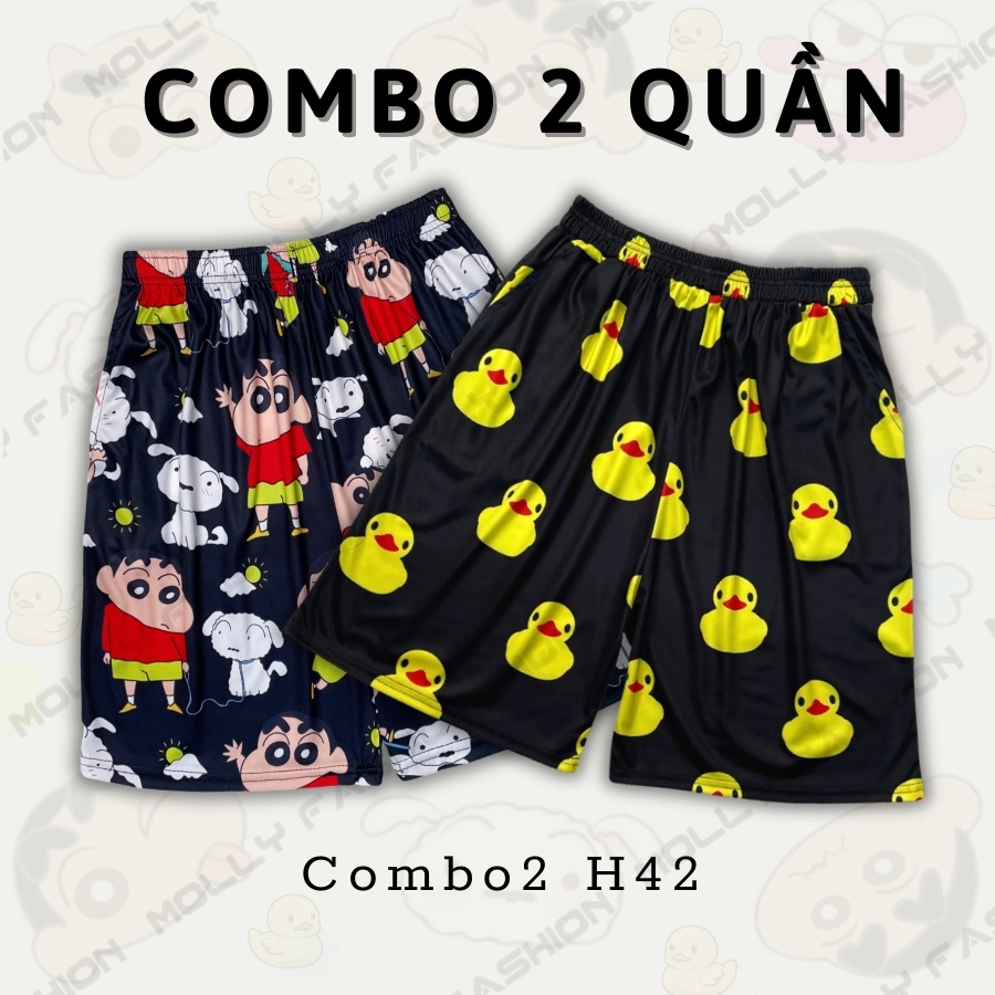 Combo2 H42