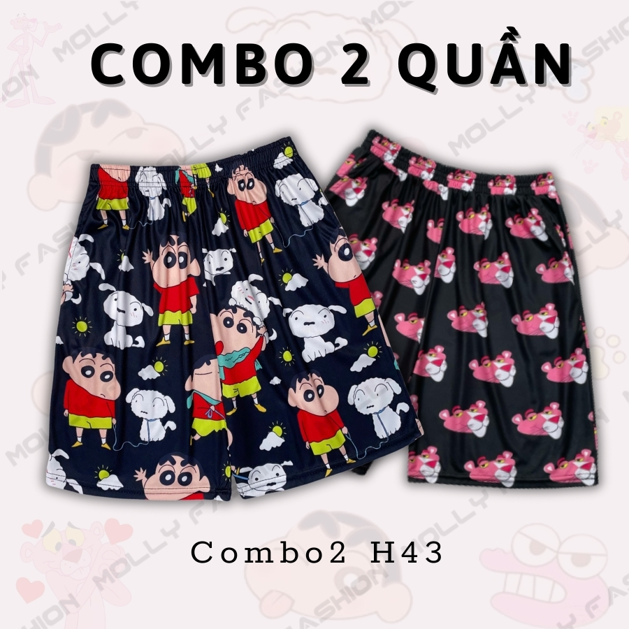 Combo2 H43