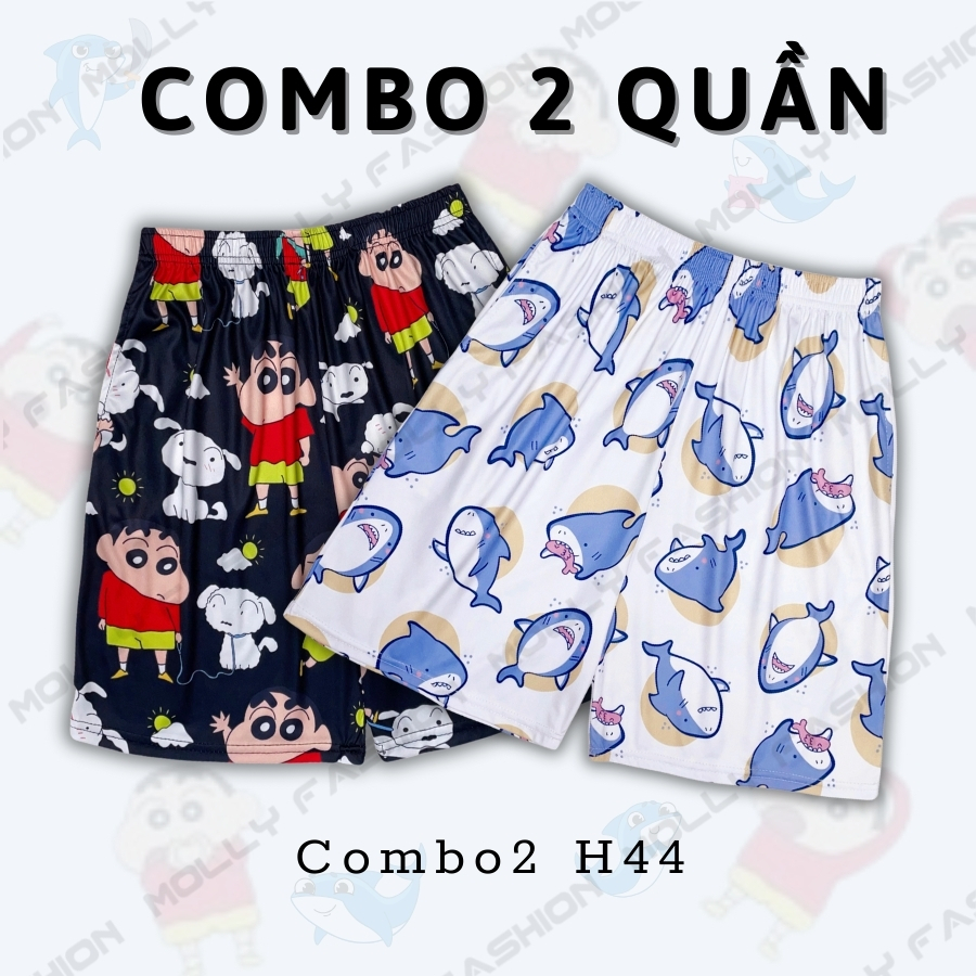 Combo2 H44